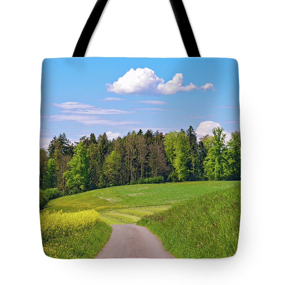 Tranquility Tote Bag featuring the photograph View Of Way by Picture By Tambako The Jaguar