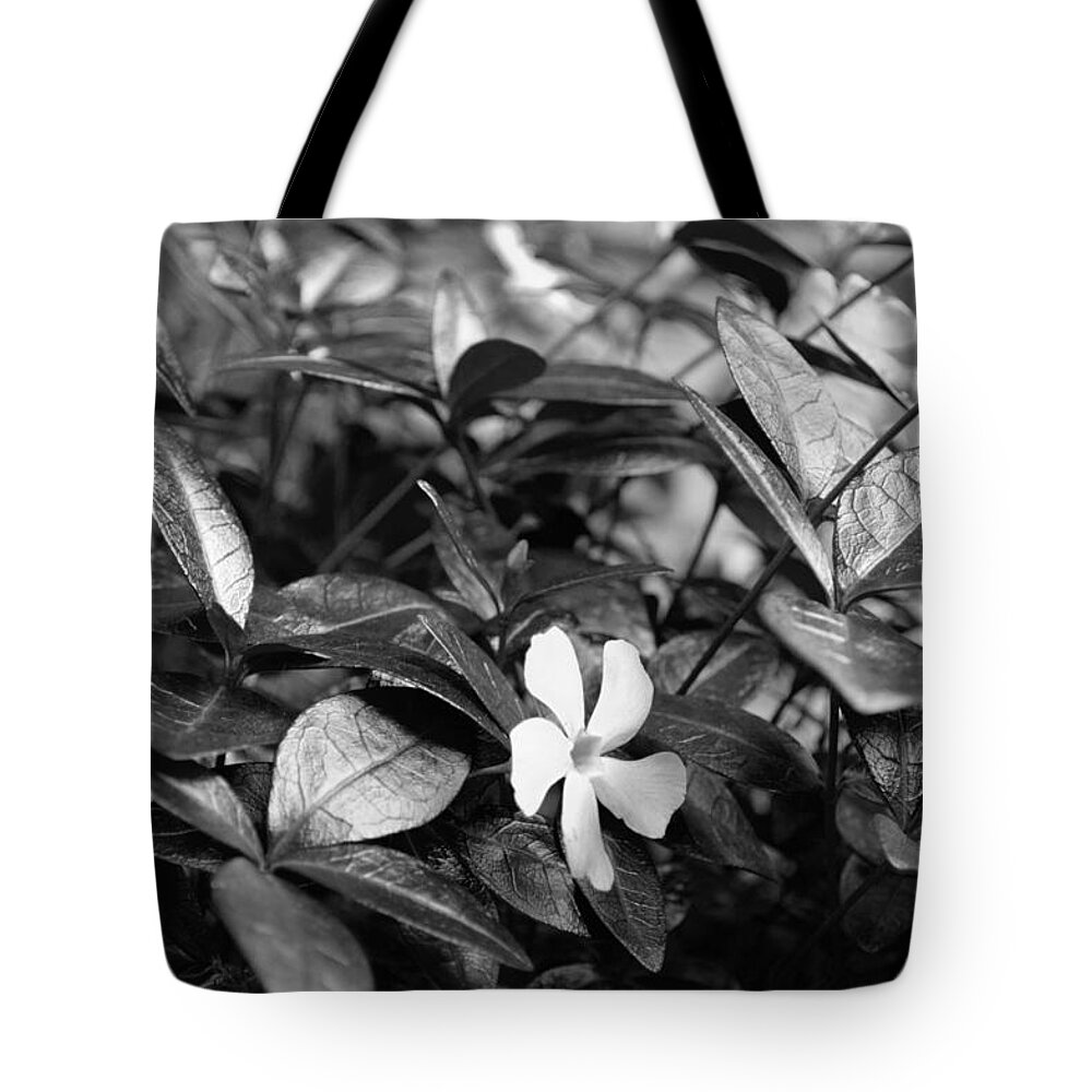 Dslr Tote Bag featuring the photograph Vinca BW by Lisa Blake
