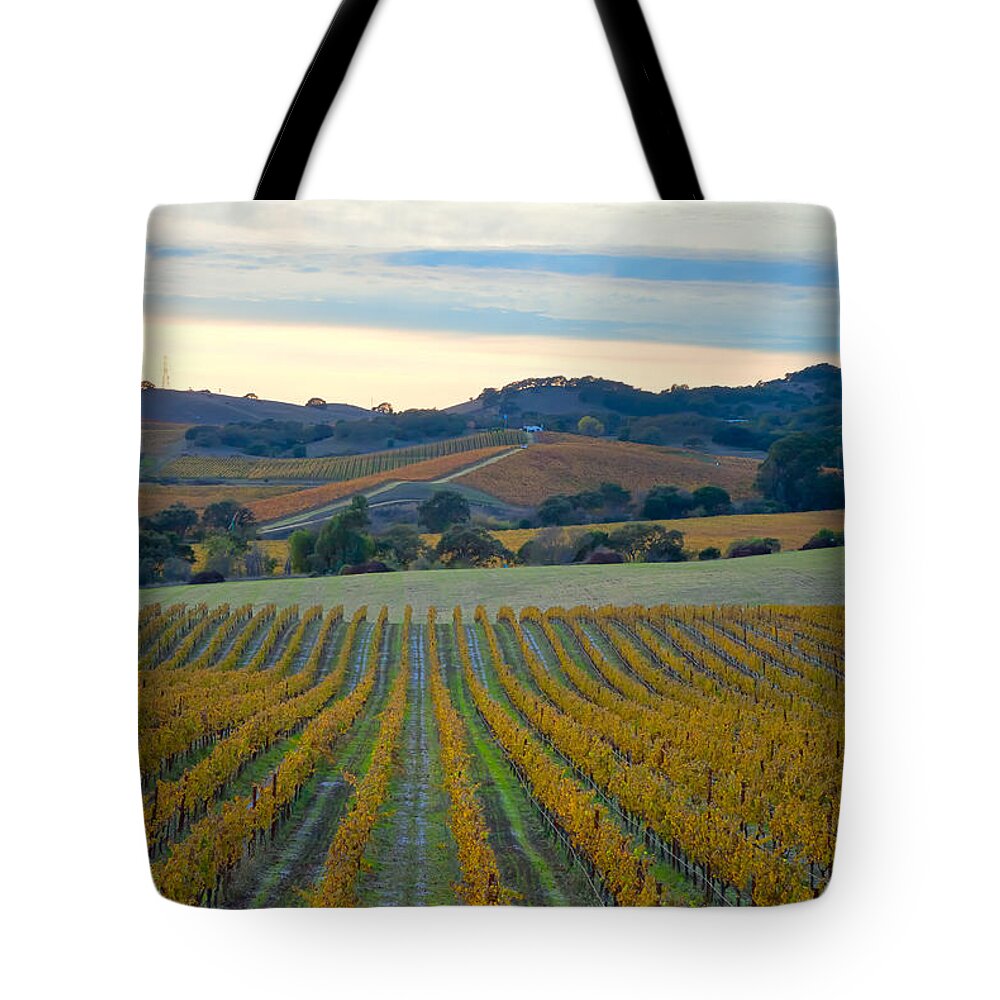 Nature Tote Bag featuring the photograph Vines After The Harvest by Jonathan Nguyen