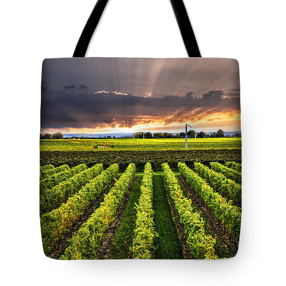Vineyard Tote Bag featuring the photograph Vineyard and sunset sky by Elena Elisseeva