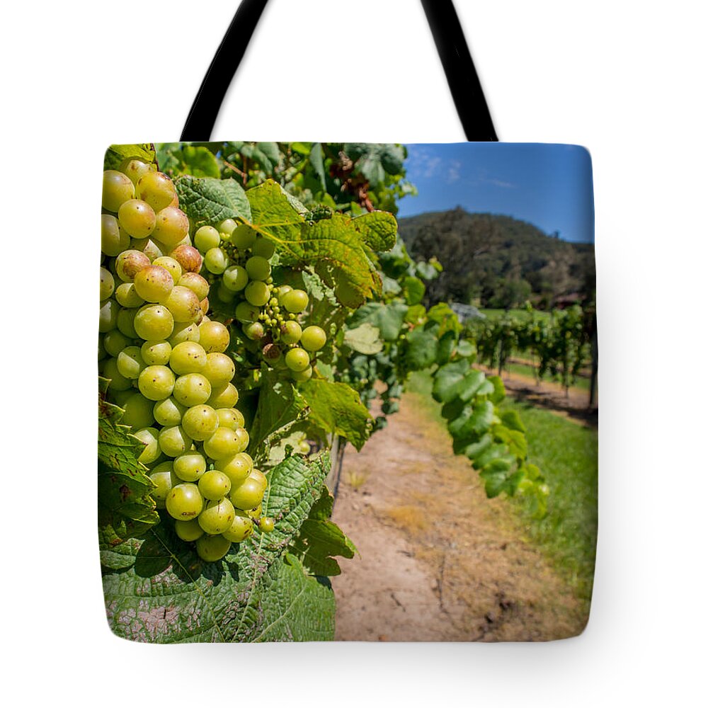 Vineyard Tote Bag featuring the photograph Vineyard Grapes by Kaleidoscopik Photography