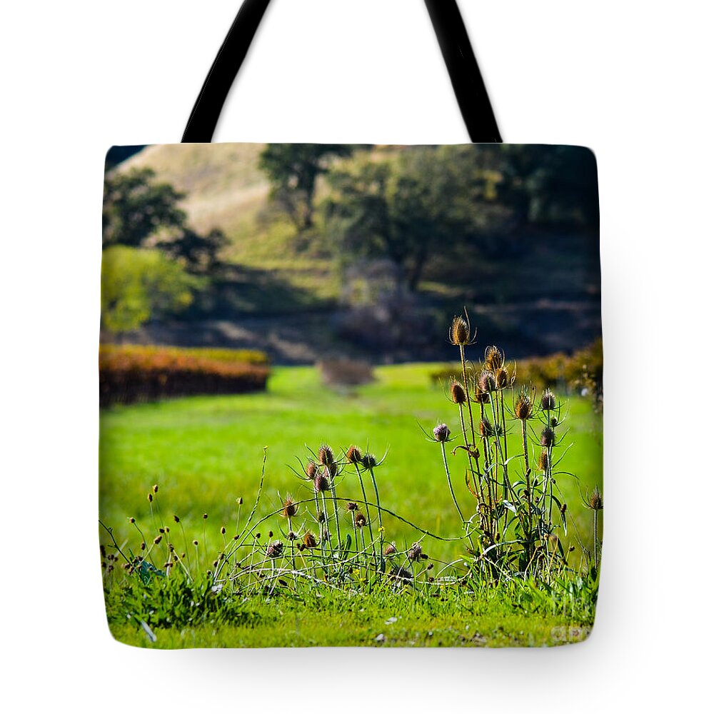 Cml Brown Tote Bag featuring the photograph Vineyard Thistles by CML Brown