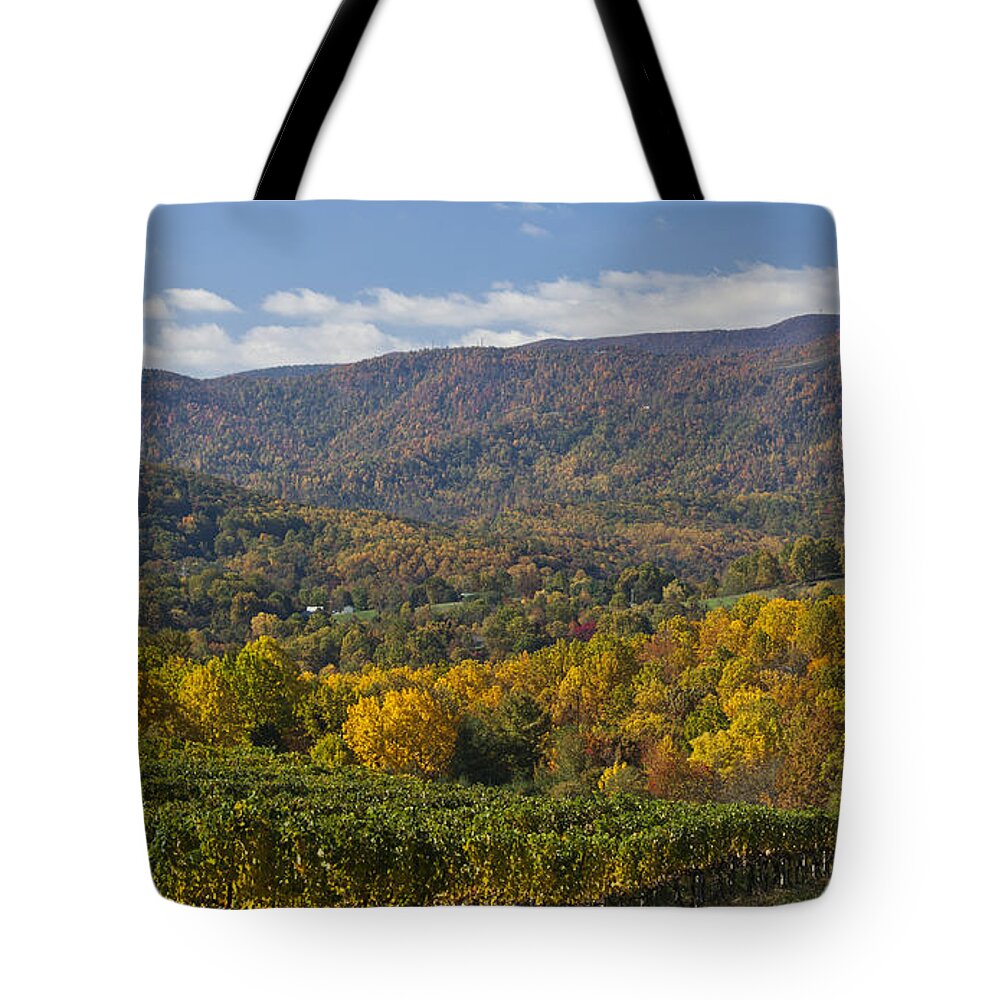 Fall Tote Bag featuring the photograph Vineyard View by Teresa Mucha
