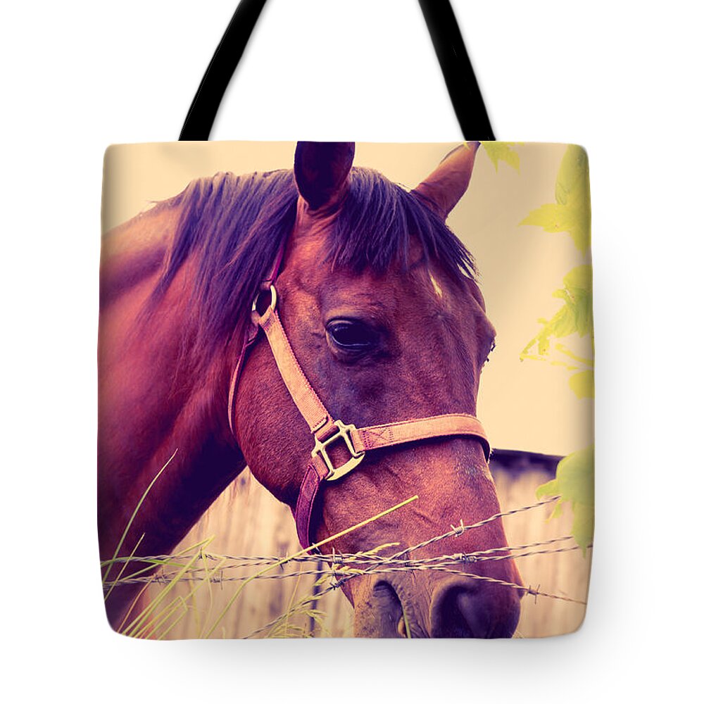 Ron Pate Tote Bag featuring the photograph Vintage Horse by Ron Pate