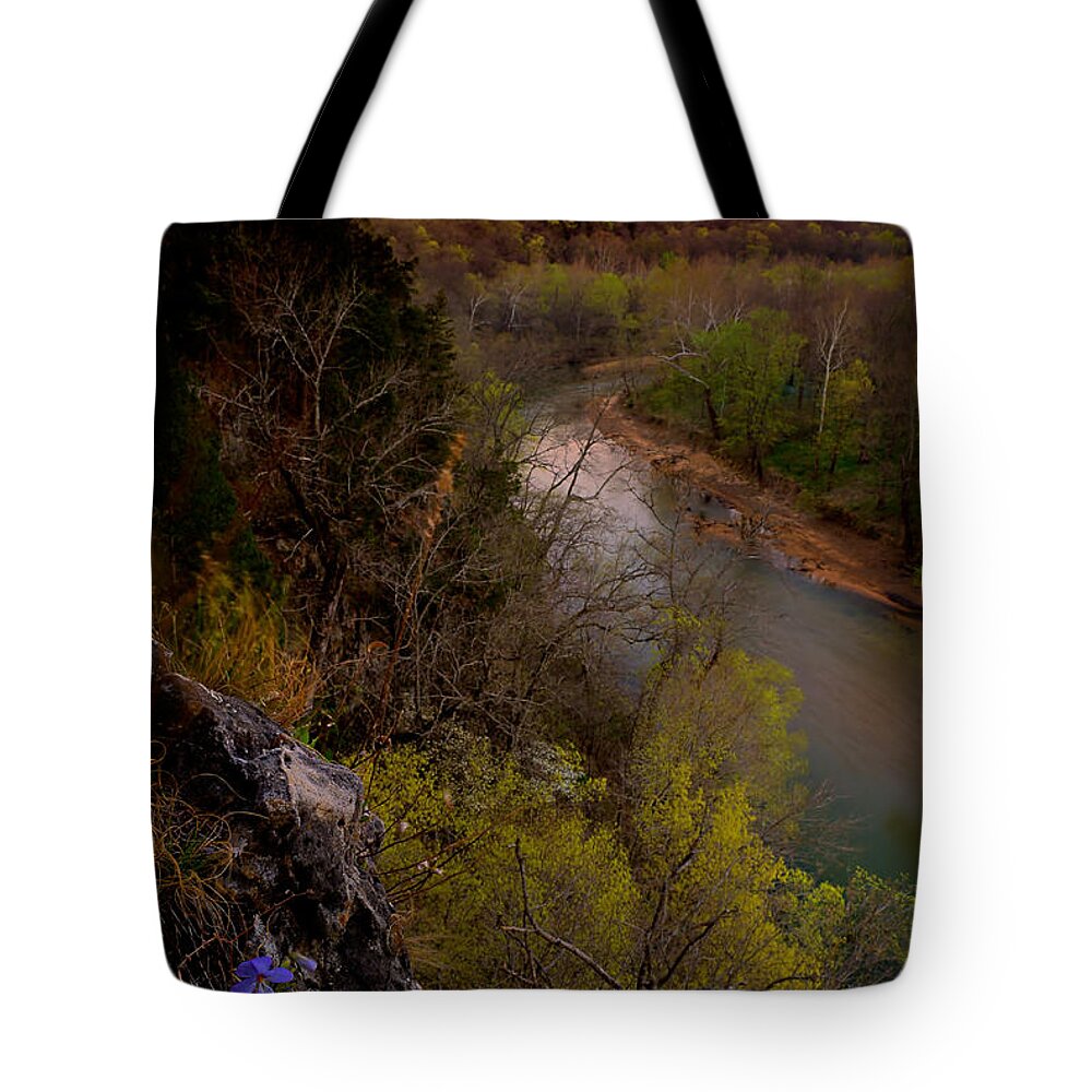 2011 Tote Bag featuring the photograph Violet and Vultures by Robert Charity