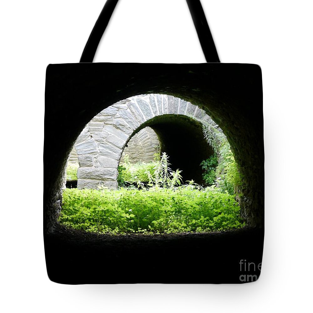 Harper's Ferry Tote Bag featuring the photograph Virginius Island Aqueducts by Jane Ford