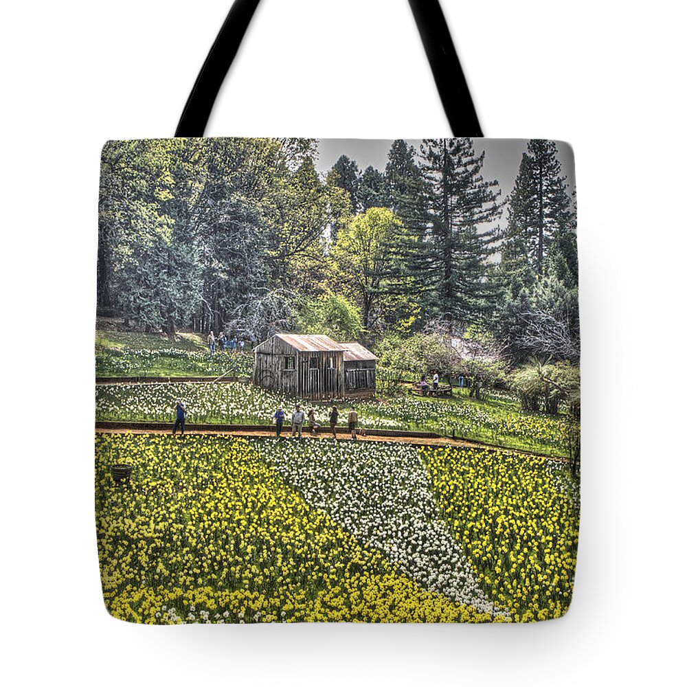 Amador Tote Bag featuring the photograph Visitors on Daffodil Hill by SC Heffner