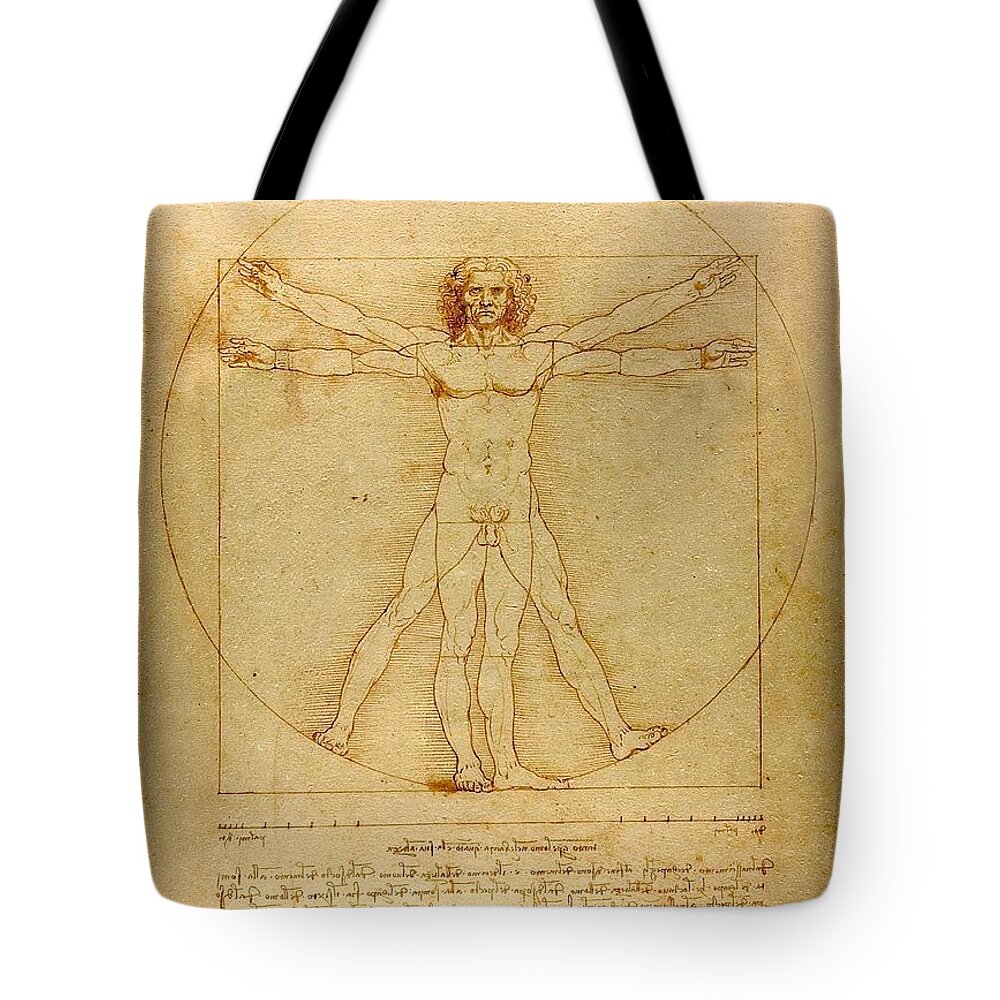 Leonardo Da Vinci Tote Bag featuring the painting Vitruvian Man by Leonardo da Vinci