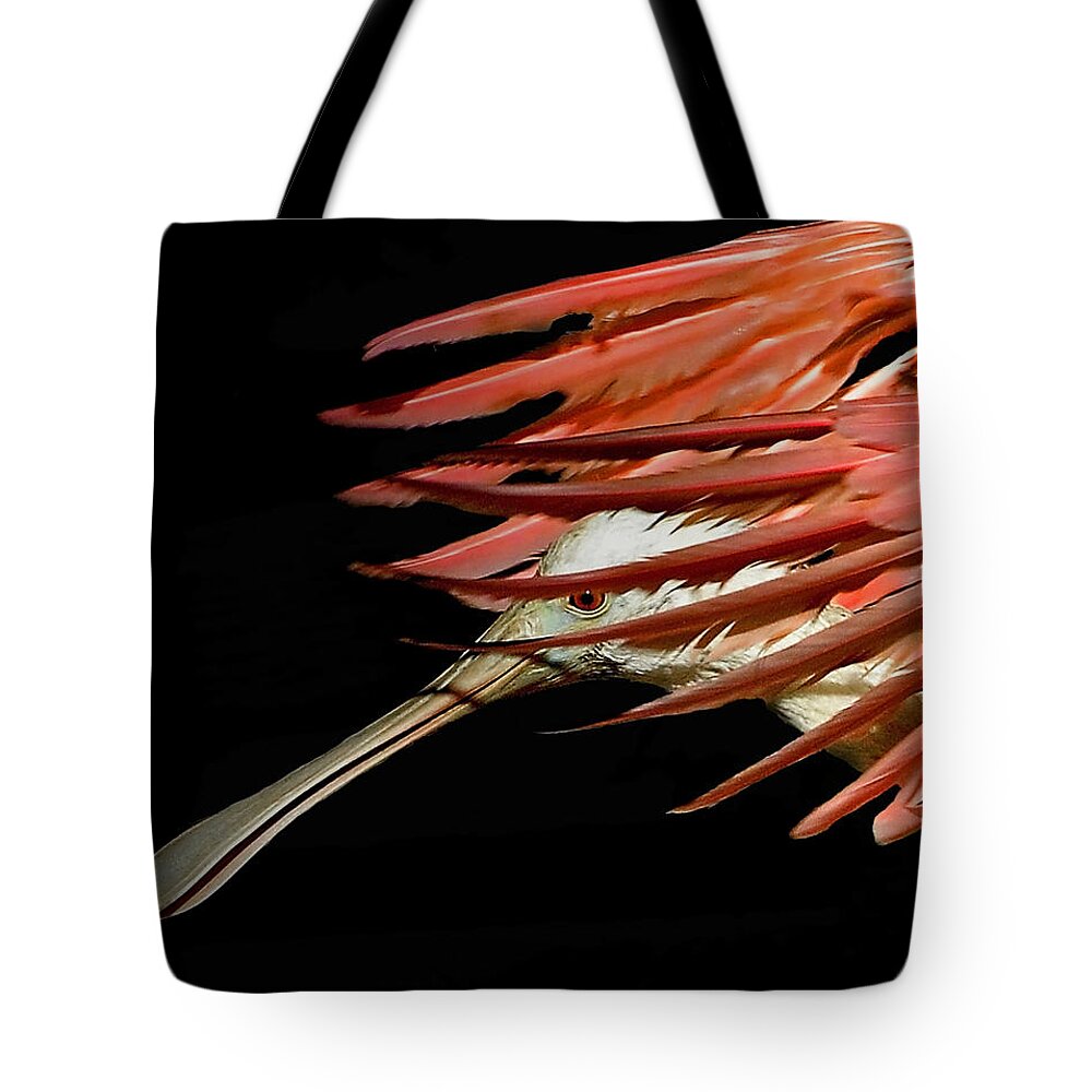 Spoonbill Tote Bag featuring the photograph Vogue by Stuart Harrison