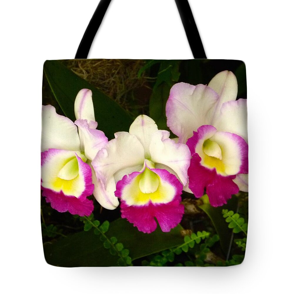 Phalaenopsis Tote Bag featuring the photograph Cattleya Orchid by Richard Bryce and Family