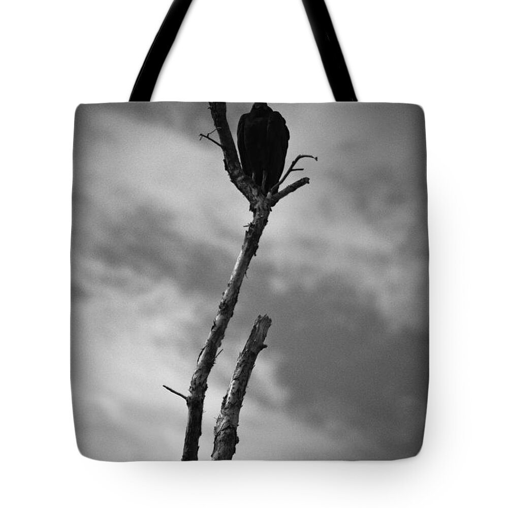 Everglades Tote Bag featuring the photograph Vulture Silhouette by Bradley R Youngberg