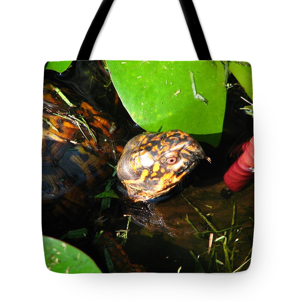 Box Turtle Tote Bag featuring the photograph Wade in the Water by Cleaster Cotton