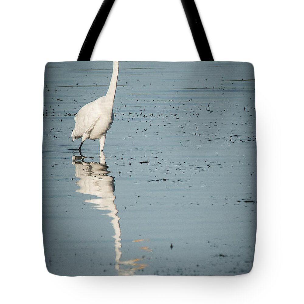 Englewood Tote Bag featuring the photograph Wading for Fish by Joan Wallner