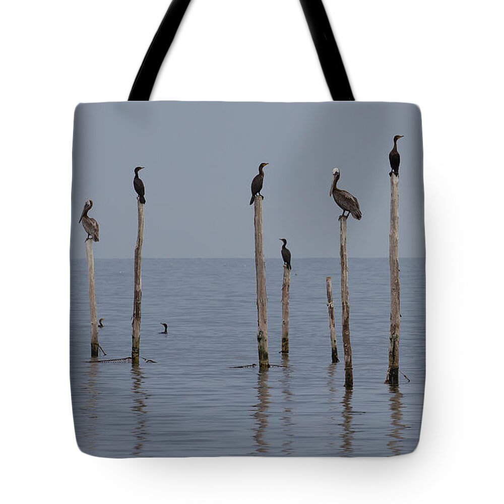 Bay Tote Bag featuring the photograph Waiting 1 by Leah Palmer