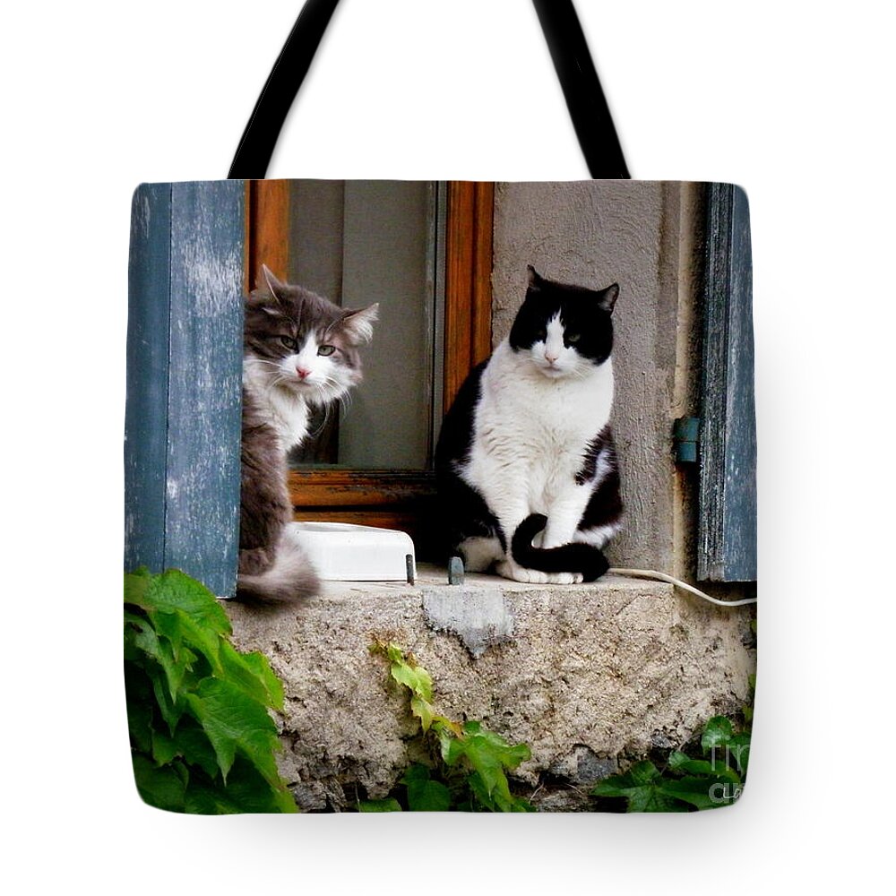 Cats Tote Bag featuring the photograph Waiting for Dinner by Lainie Wrightson