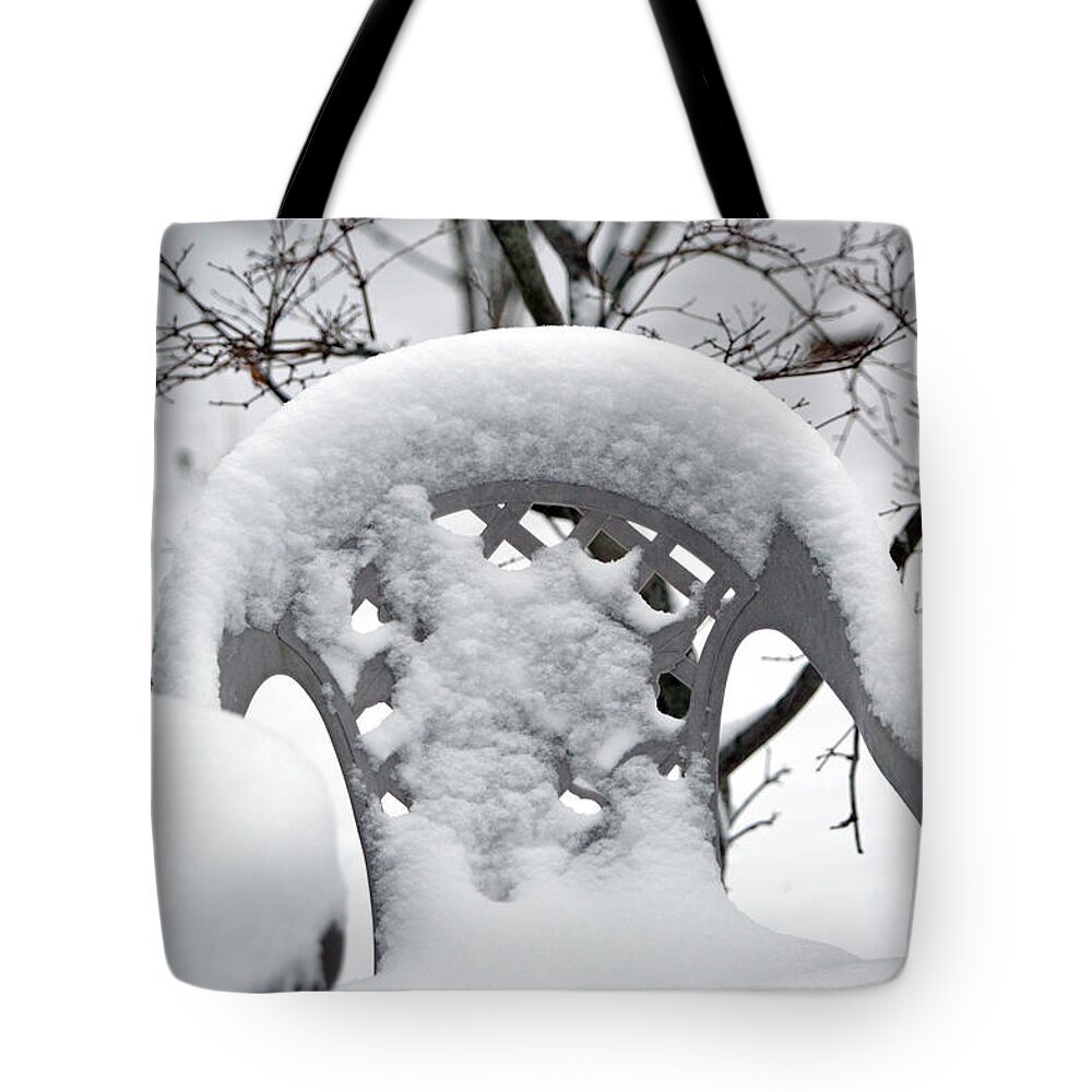 Winter Tote Bag featuring the photograph Waiting For Spring by Alys Caviness-Gober