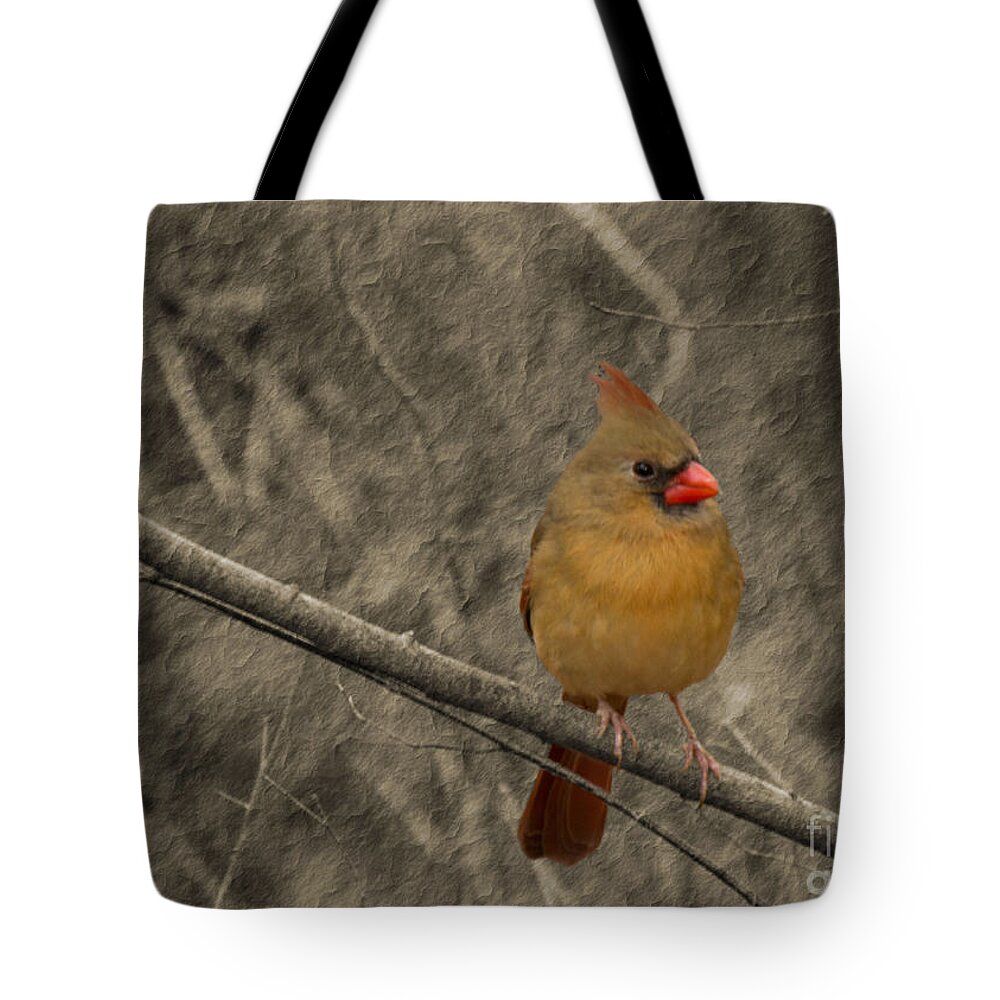 Bird Tote Bag featuring the photograph Waiting for Supper by Sandra Clark