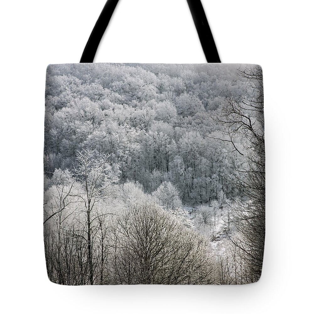 Snow Tote Bag featuring the photograph Waiting Out Winter by John Haldane