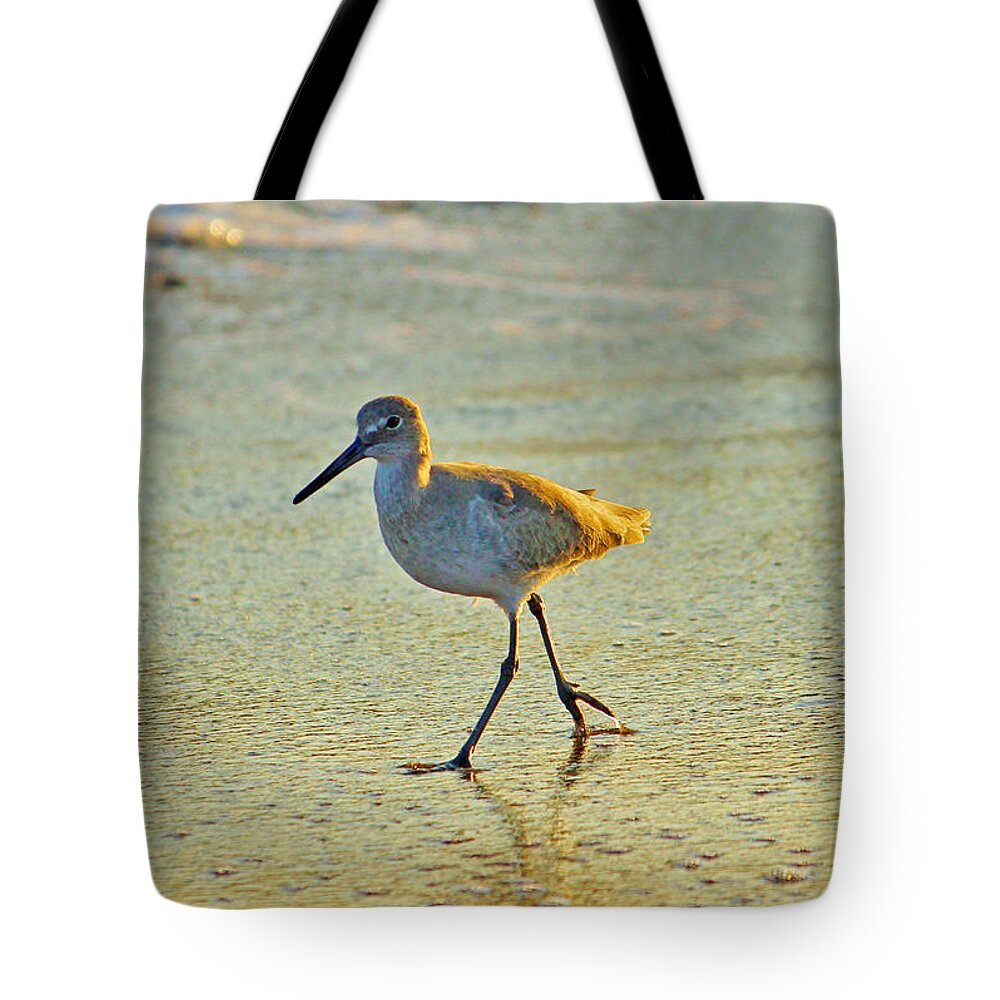Bird Tote Bag featuring the photograph Walk On The Beach by Cynthia Guinn