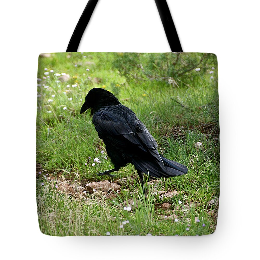 Raven Tote Bag featuring the photograph Walk This Way by Susan Herber