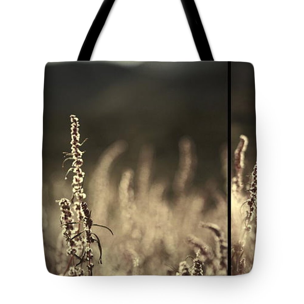 Walking Tote Bag featuring the photograph Walking On Wind by Mark Ross