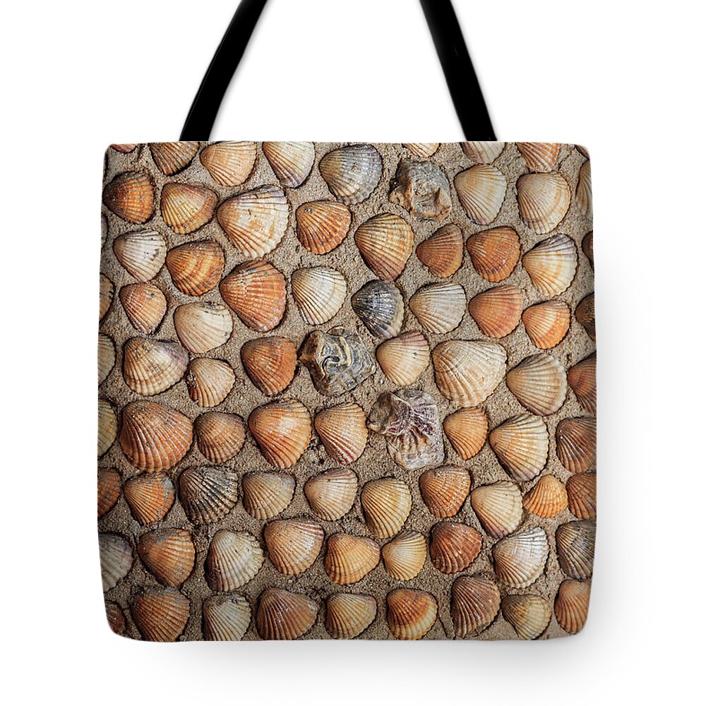 Animal Shell Tote Bag featuring the photograph Wall From Cockles by Destinations By Des - Desislava Panteva Photography