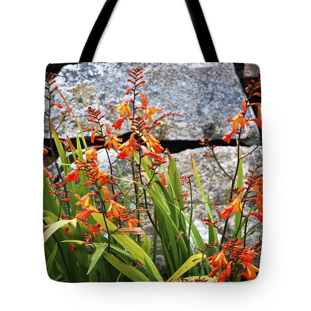 Flowers Tote Bag featuring the photograph Wallflowers by Norma Brock