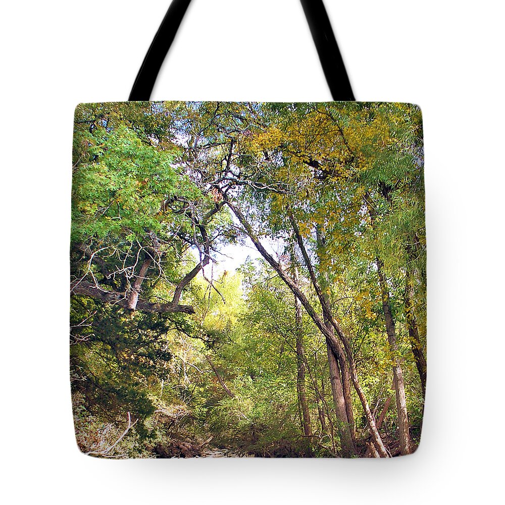 Walnut Creek Tote Bag featuring the painting Walnut Creek by Troy Caperton