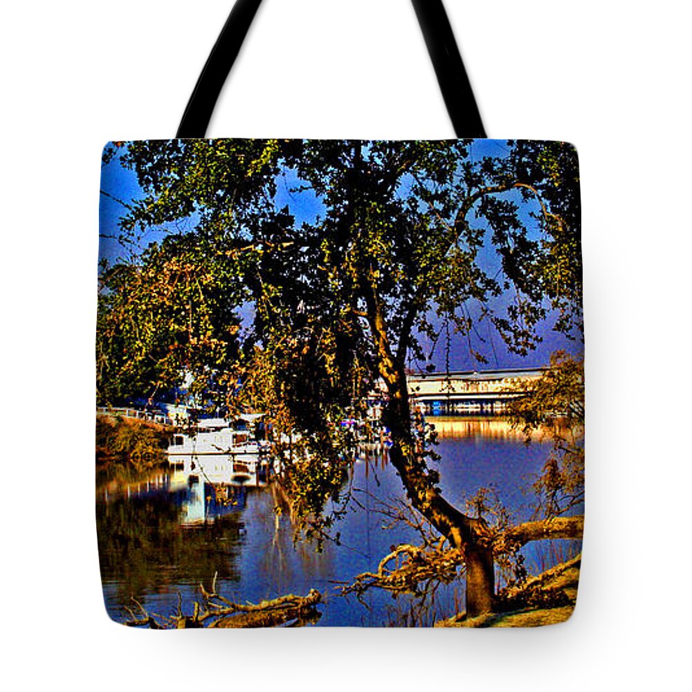 Walnut Grove Tote Bag featuring the photograph Walnut Grove CA by Joseph Coulombe
