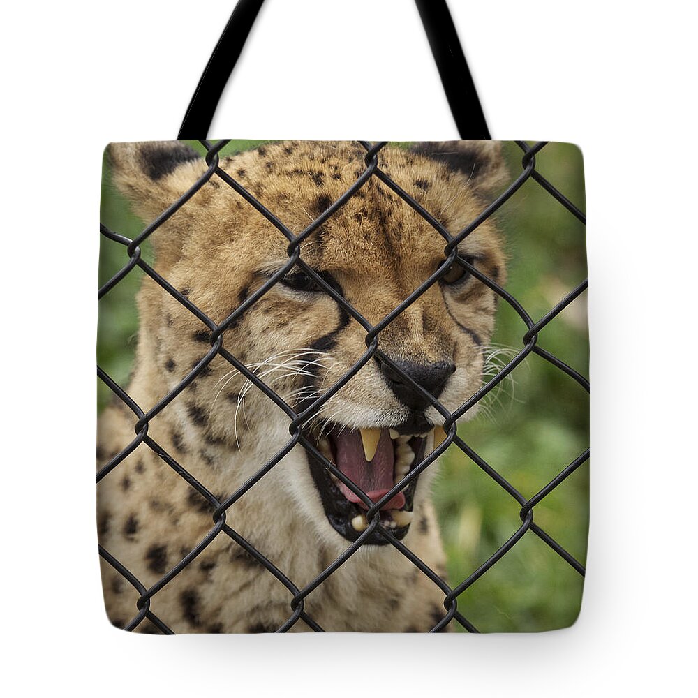 Animal Tote Bag featuring the photograph Wanting Freedom by J C