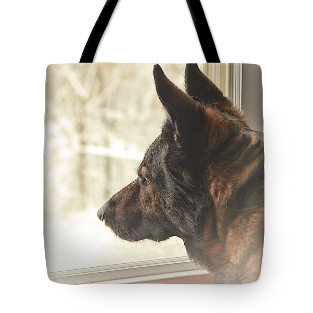 Wanting To Play Tote Bag featuring the photograph Wanting To Play by Karol Livote