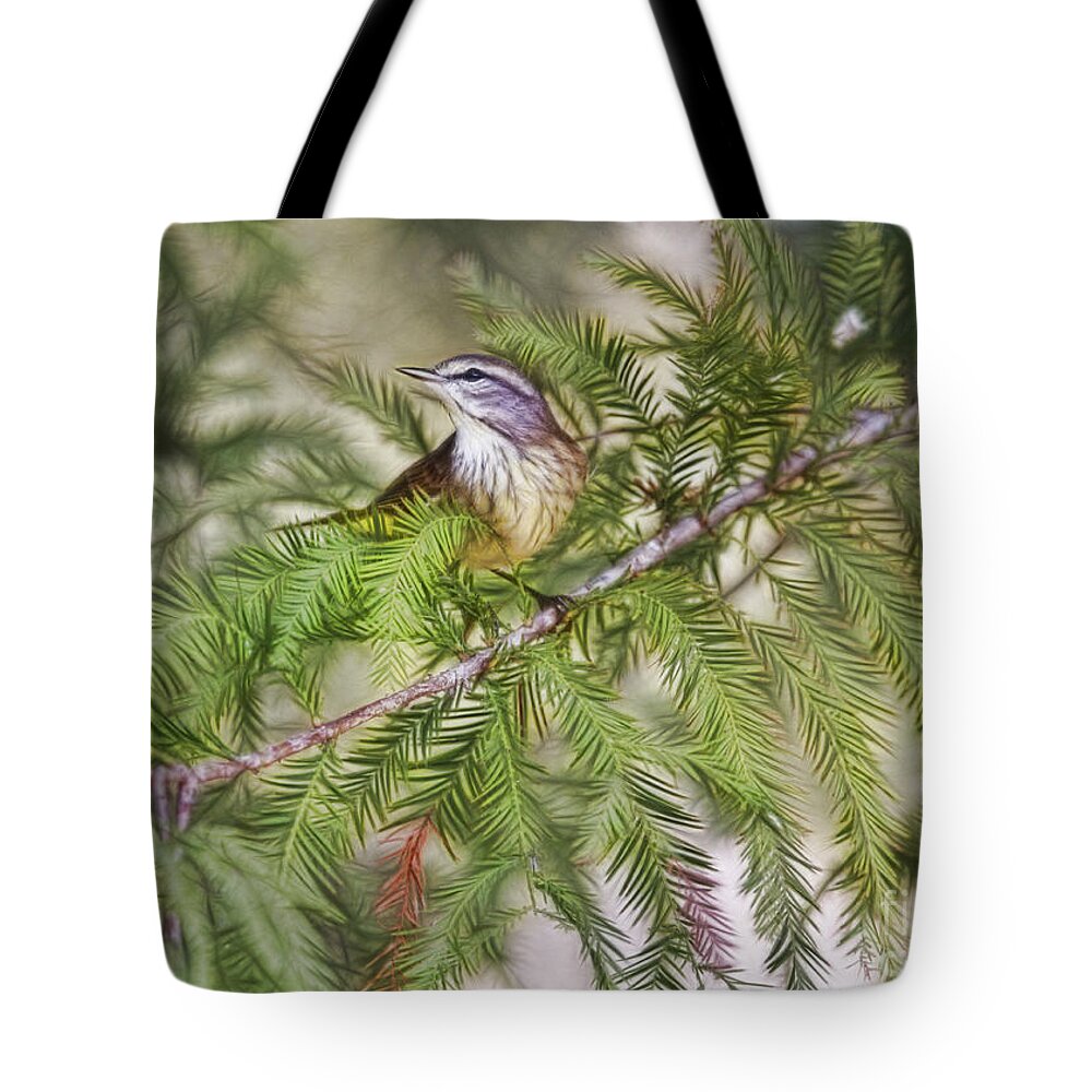 Warbler Tote Bag featuring the photograph Warbler In The Cypress by Deborah Benoit
