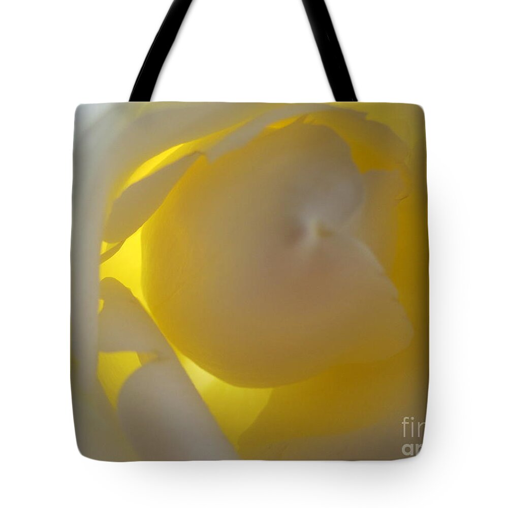 Floral Tote Bag featuring the photograph Warm Glow White Rose by Tara Shalton