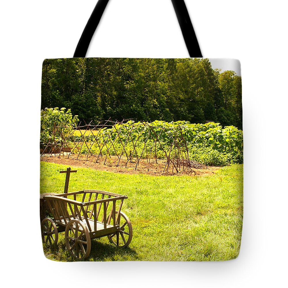 Mount Vernon Tote Bag featuring the photograph George Washington's Garden by Paul Mangold