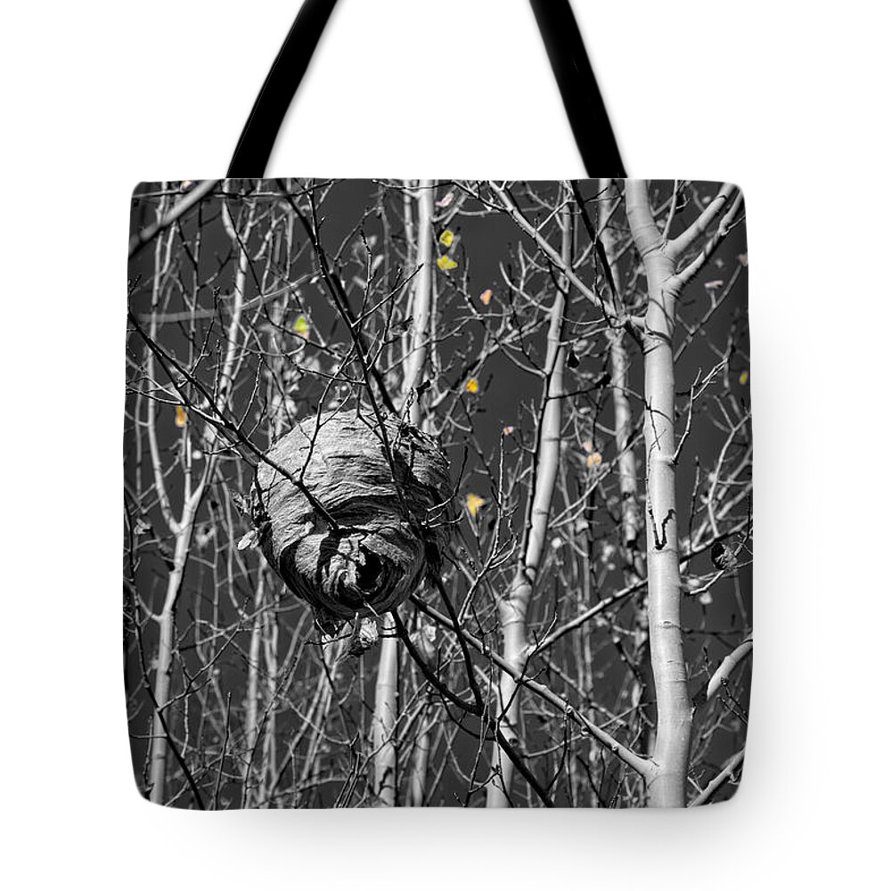 Wasp Tote Bag featuring the photograph Wasp Nest in Aspen by Kathleen Bishop