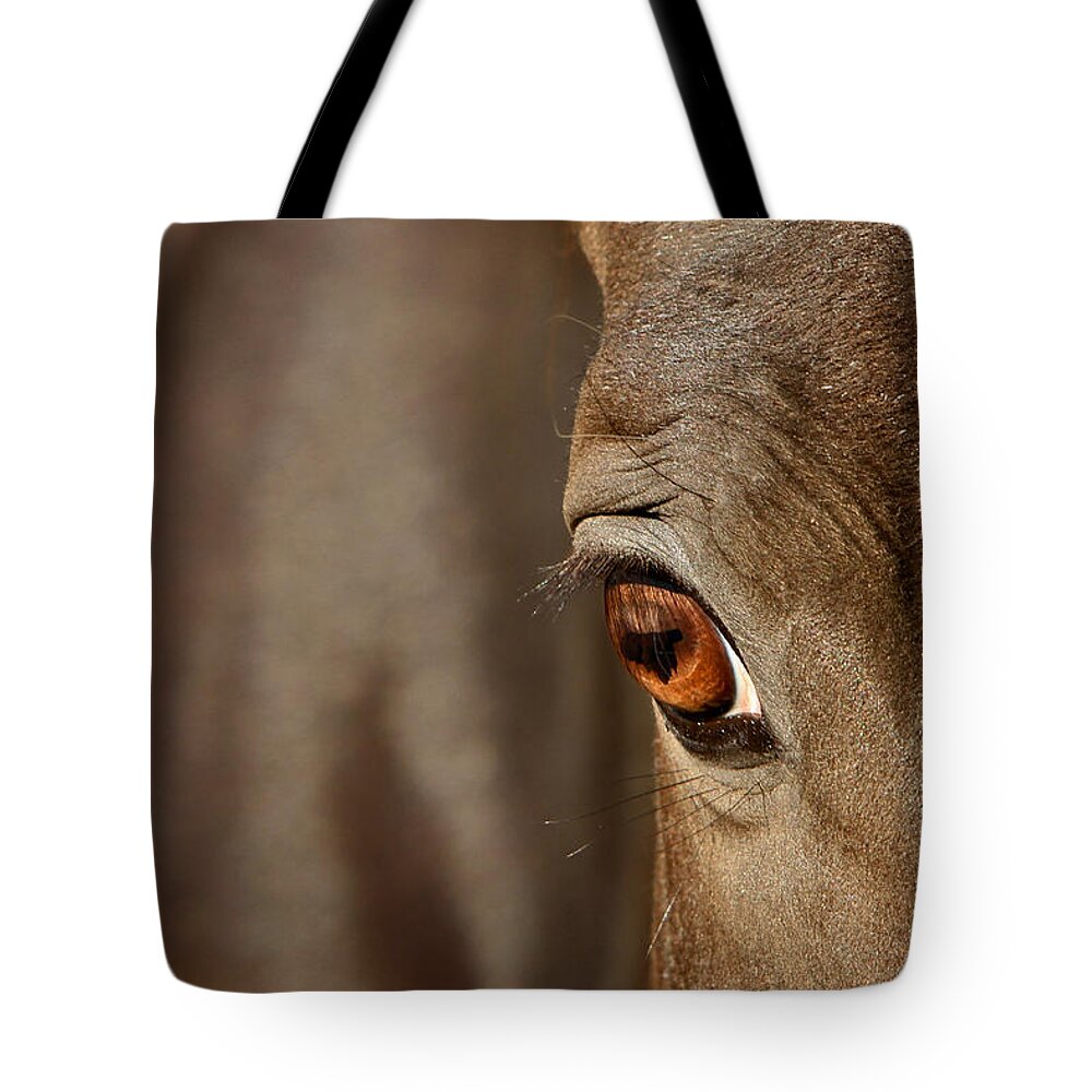 Animal Tote Bag featuring the photograph Watchful by Michelle Twohig