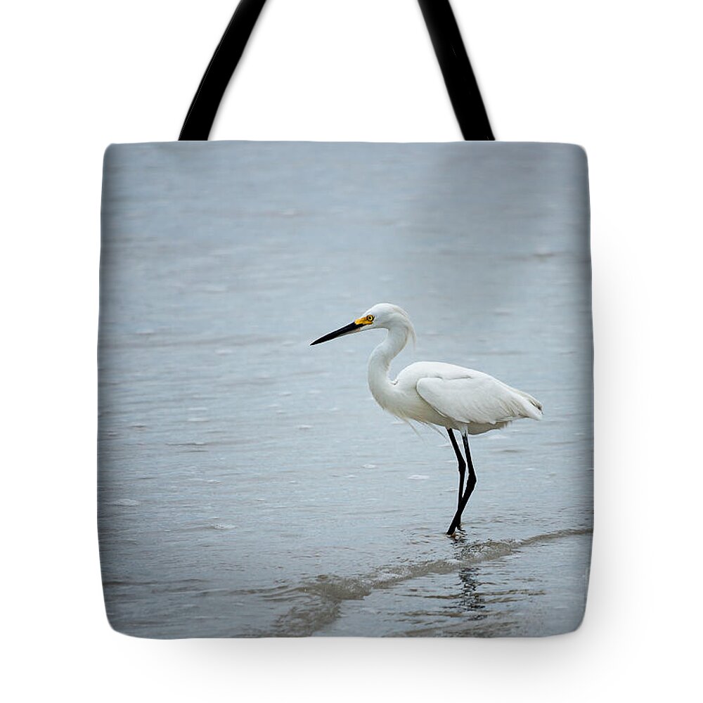 Beach Tote Bag featuring the photograph Watching by Todd Blanchard