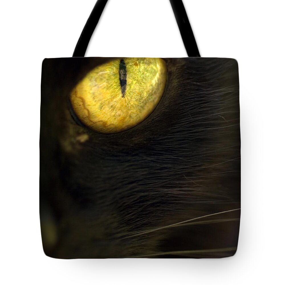 Velvet Tote Bag featuring the photograph Watching You by Anne Gilbert