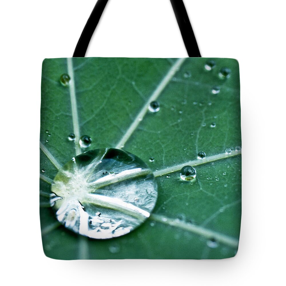Heiko Tote Bag featuring the photograph Water droplet on a lotus leaf by Heiko Koehrer-Wagner