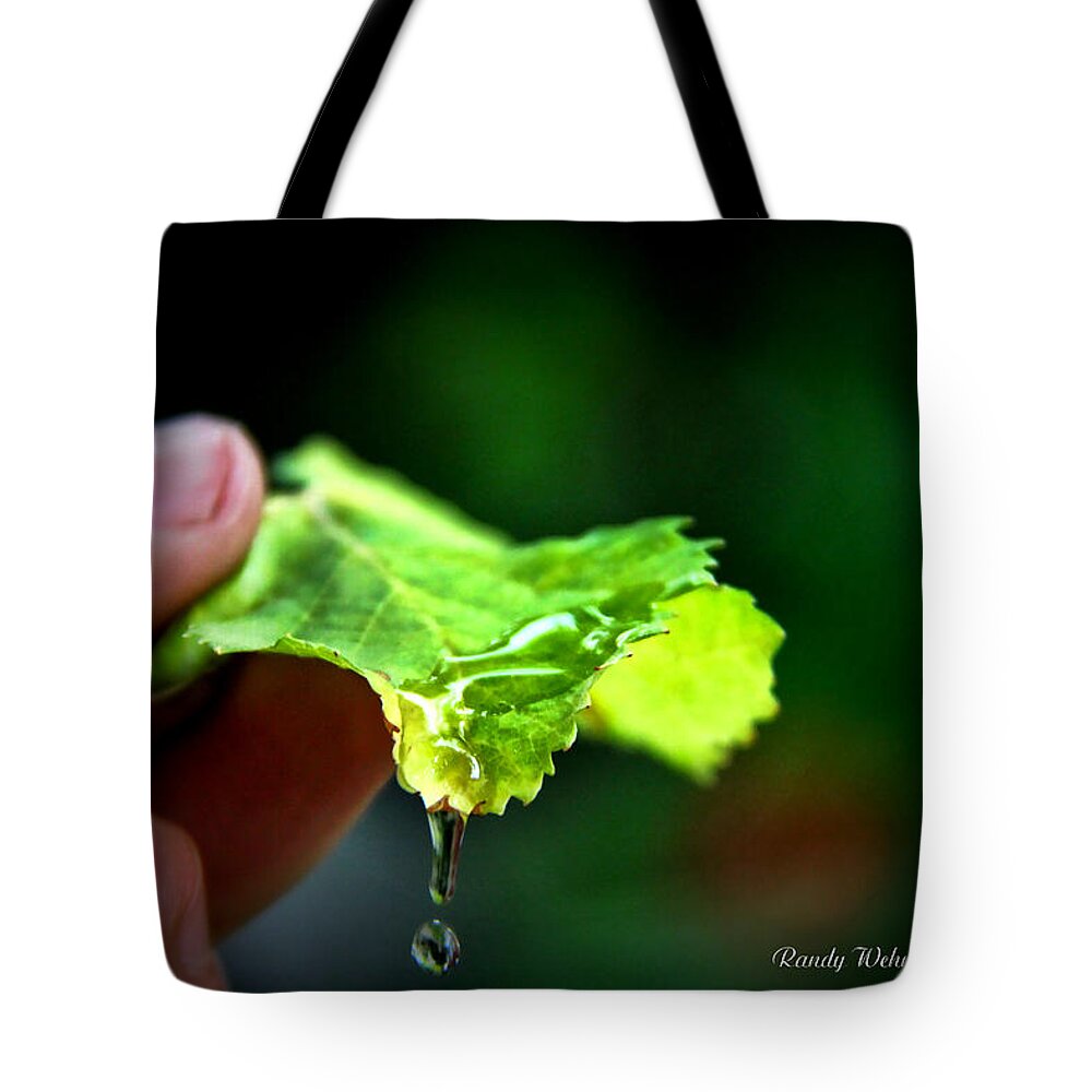 Leaf Tote Bag featuring the photograph Water Drops by Randy Wehner