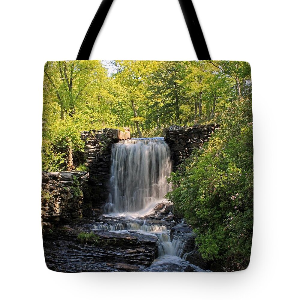 Moore State Park Tote Bag featuring the photograph Water Fall Moore State Park 2 by Michael Saunders
