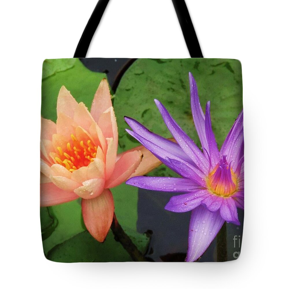 Water Lilies Tote Bag featuring the photograph Water Lilies 011 by Robert ONeil