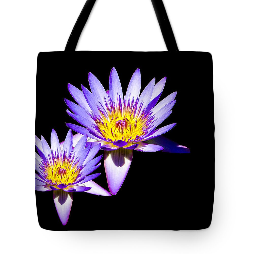 Water Lily Tote Bag featuring the photograph Water Lilies on Black by Bill Barber