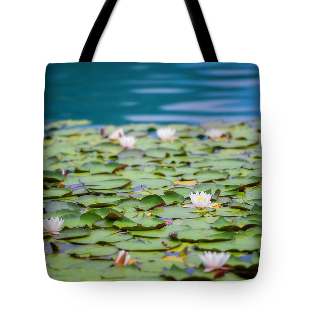 Ornamental Garden Tote Bag featuring the photograph Water Lilies by Vm