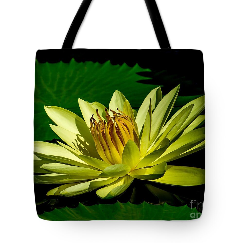 Aquatic Tote Bag featuring the photograph Water Lily 2014-14 by Nick Zelinsky Jr