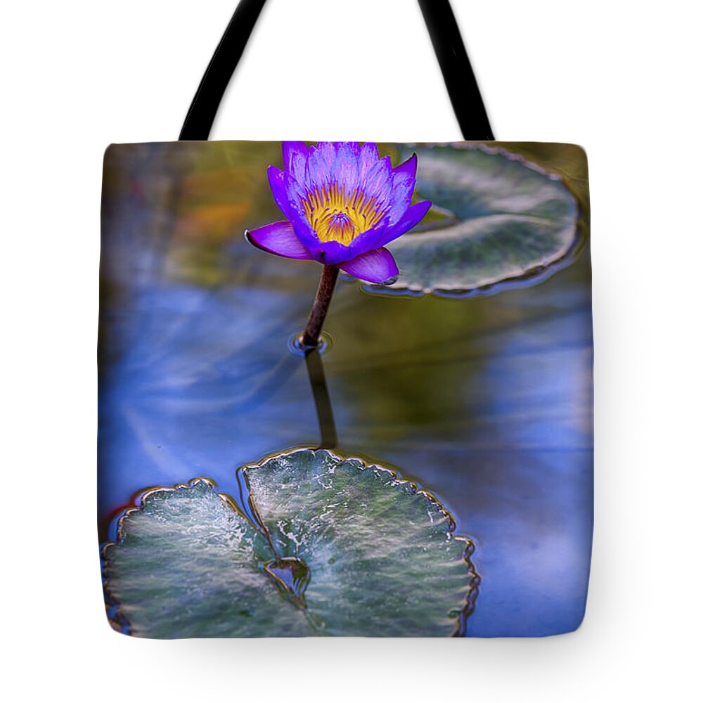 Water Lily Tote Bag featuring the photograph Water Lily 4 by Scott Campbell