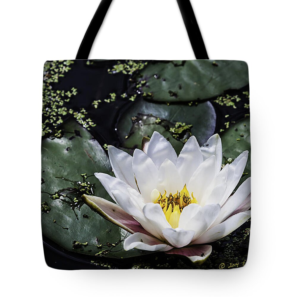 Heron Heaven Tote Bag featuring the photograph Water Lily by Ed Peterson