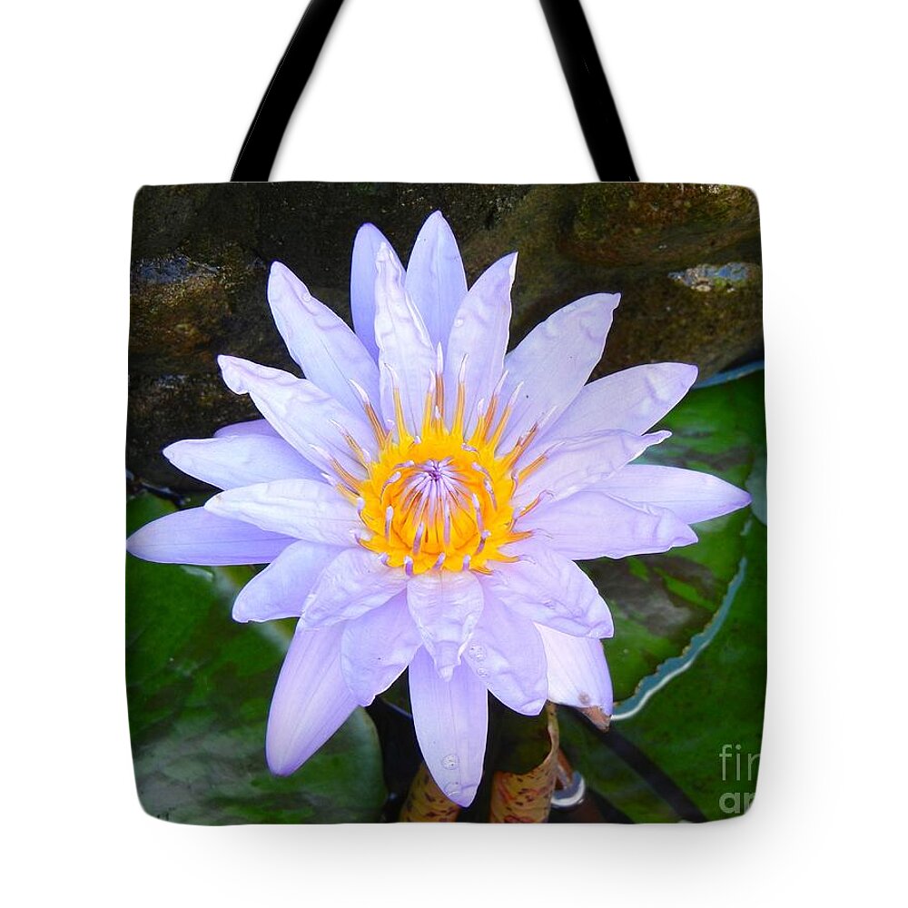 Water Lily Tote Bag featuring the photograph Water Lily by Laura Forde