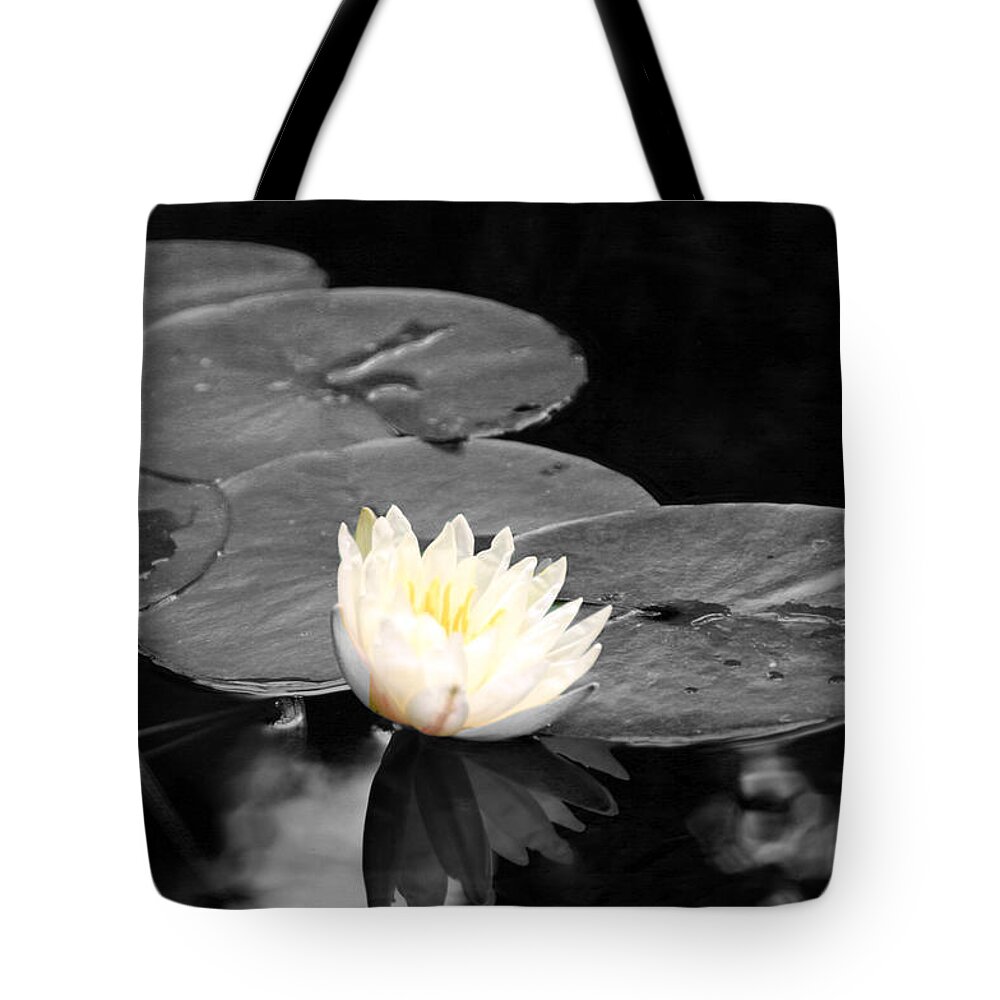Water Lily Tote Bag featuring the photograph Water Lily by Phil Mancuso