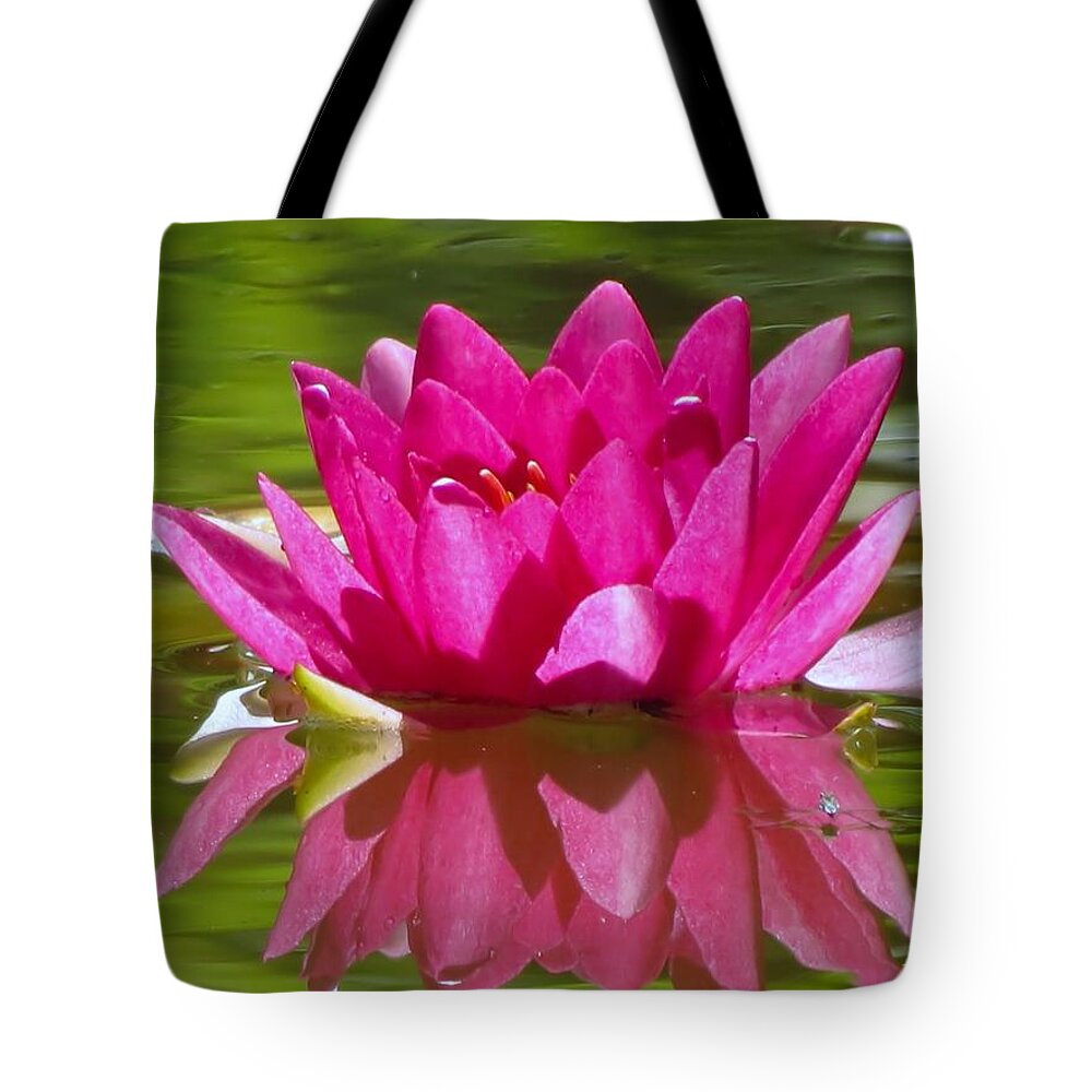Water Lily Tote Bag featuring the photograph Water Lily Pink by MTBobbins Photography
